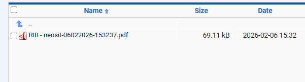 Capture d'écran du RIB renommé avec une nomenclature unique pour éviter les conflits et écrasements
